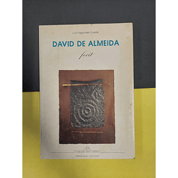 Luiz Fagundes Duarte - David de Almeida 