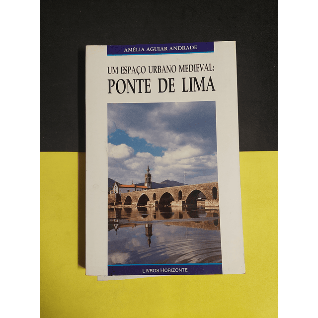 Amélia Aguiar Andrade - Um espaço urbano medieval: Ponte de Lima 