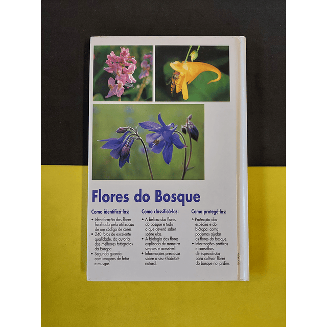 Bruno P. Kremer - Flores do bosque 