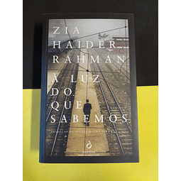 Zia Haider Rahman - À luz do que sabemos 