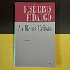 José Dinis Fidalgo - As belas coisas 