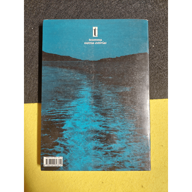 Martin Amis - Água pesada