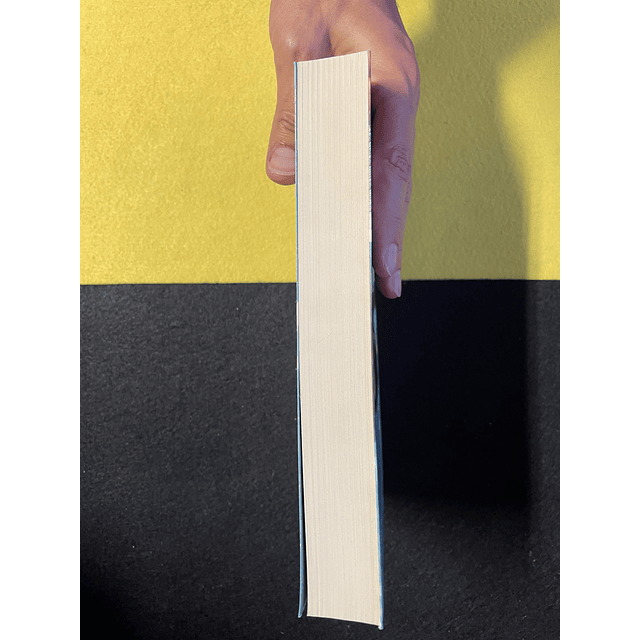 Jodi Picoult - Para a minha irmã 