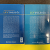 Lev Tolstói - Guerra e paz. 2 volumes