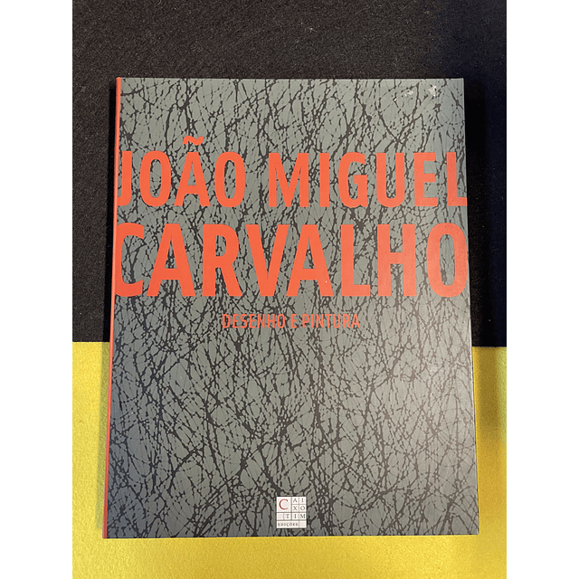 João Miguel Carvalho - Desenho e pintura