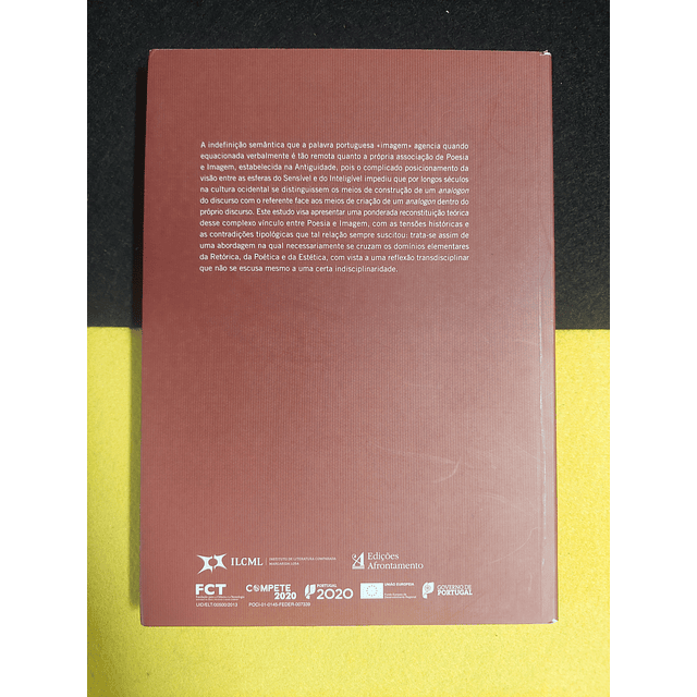 Joana Matos Frias - O murmúrio das imagens I: Poéticas da evidência 