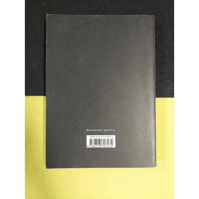 Maria Ângela Alvim - Superfície toda poesia