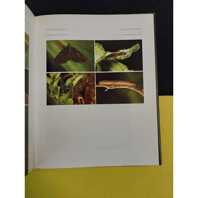 Vários autores - Açores: Um retrato natural