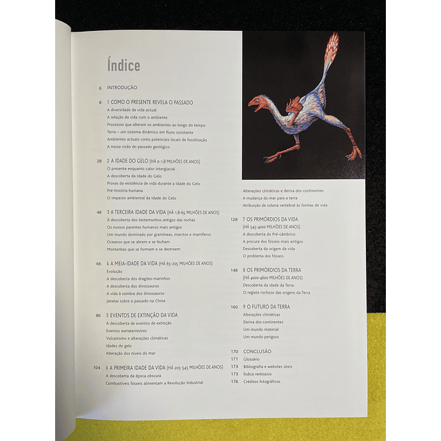 Douglas Palmer - Pré-História: O Passado Revelado