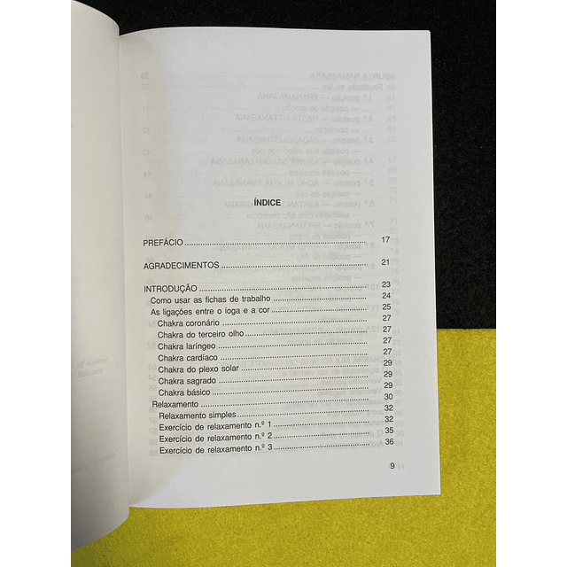 Pauline Wills - Saúde e energia em 16 etapas 