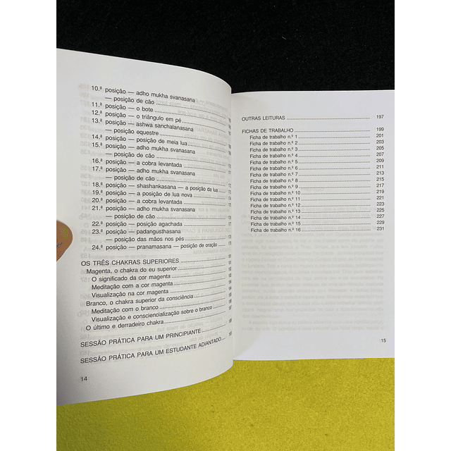 Pauline Wills - Saúde e energia em 16 etapas 