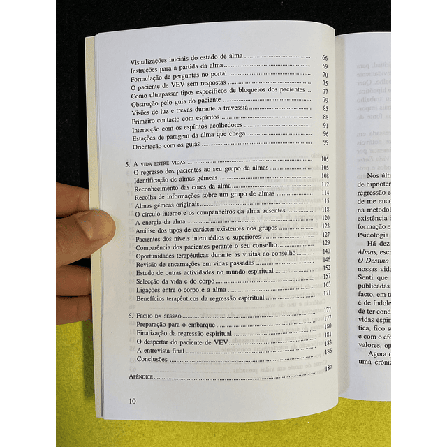 Michael Newton - A Vida Entre Vidas: A regressão espiritual através da hipnoterapia