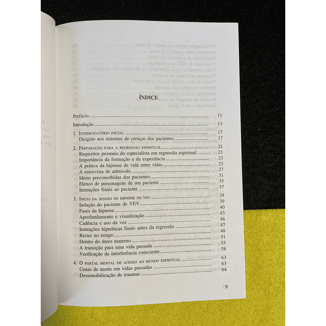 Michael Newton - A Vida Entre Vidas: A regressão espiritual através da hipnoterapia