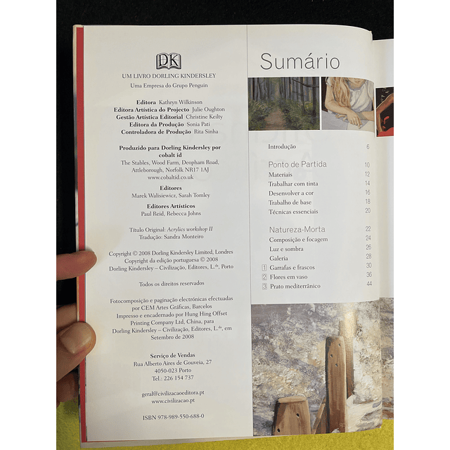 Karen S. J. Keable - Oficina de Acrílico II