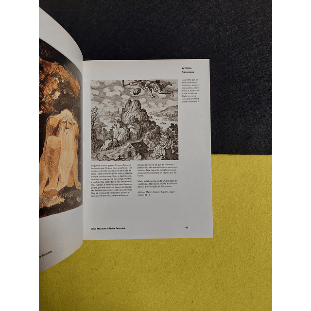 Alexander Roob - Alquimia & Misticismo: O museu Hermético