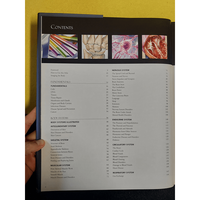 Beverly McMillan - The illustrated atlas of the human body