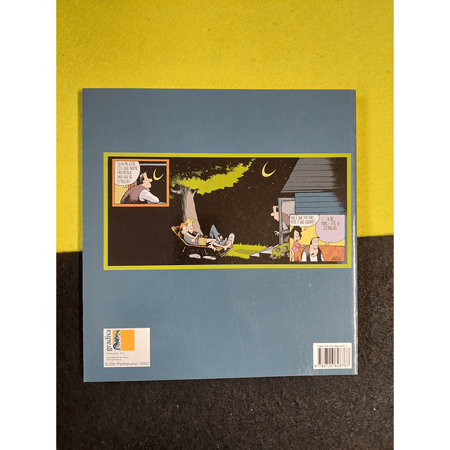 Jerry Scott, Jim Borgiman - Zits: Apanhados!. 6