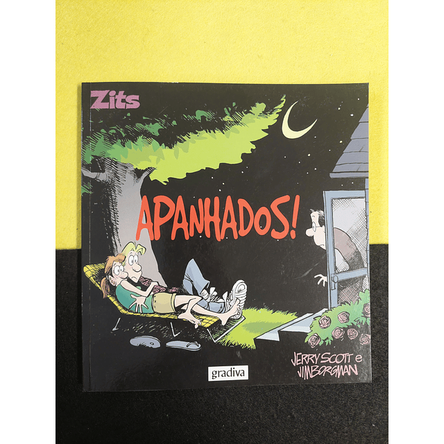 Jerry Scott, Jim Borgiman - Zits: Apanhados!. 6