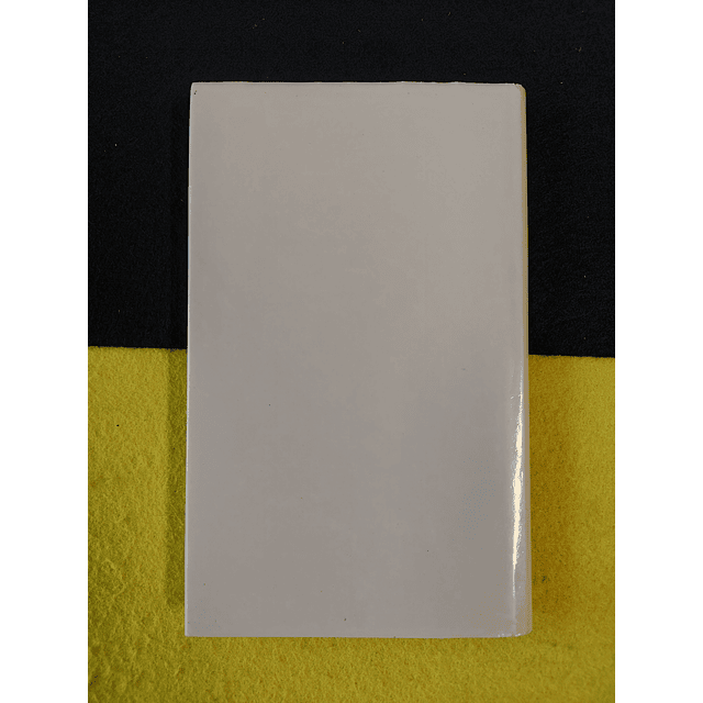 Fernanda Botelho - Esta noite sonhei com Brueghel