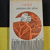 Antunes da Silva - Suão 