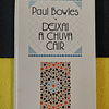 Paul Bowles - Deixai a chuva cair