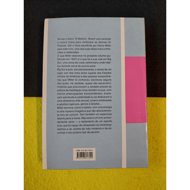 Henry Miller - Big Sur e as laranjas de Jerónimo Bosch