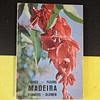 Plantas e flores - Madeira