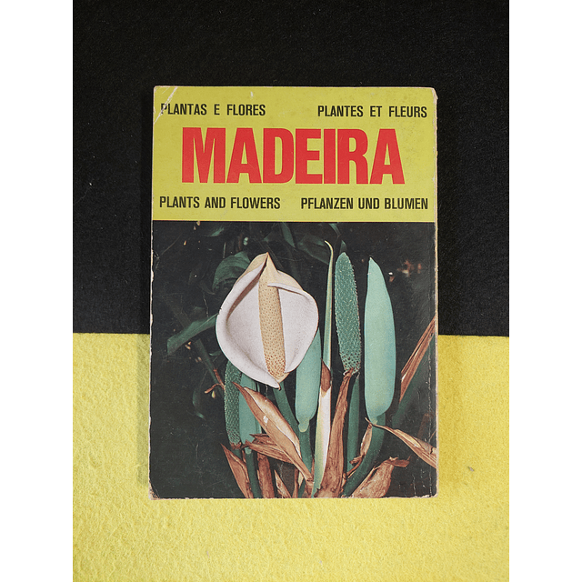Plantas e flores - Madeira