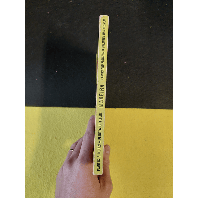 Plantas e flores - Madeira