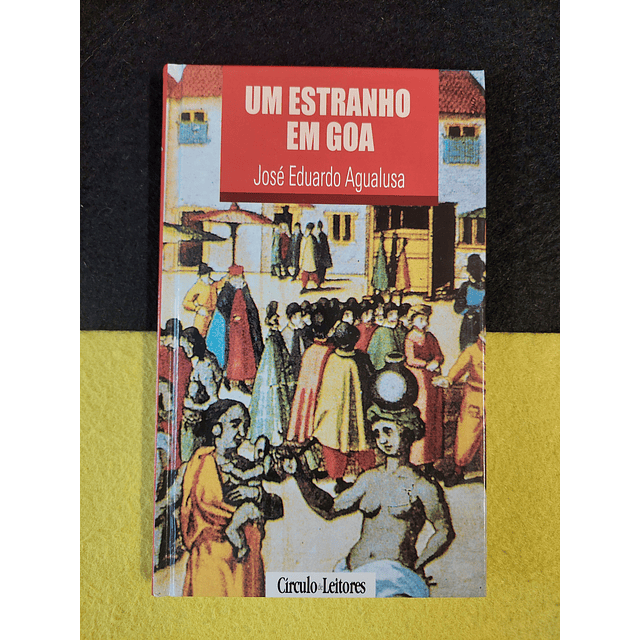 José Eduardo Agualusa - Um estranho em Goa