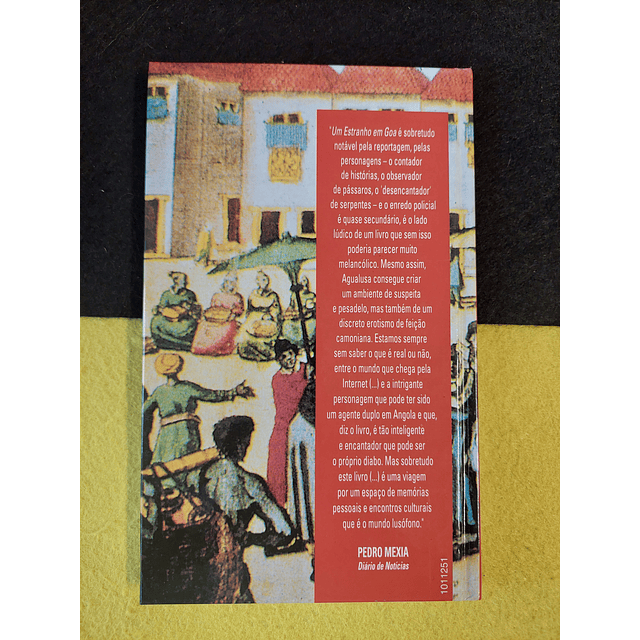 José Eduardo Agualusa - Um estranho em Goa