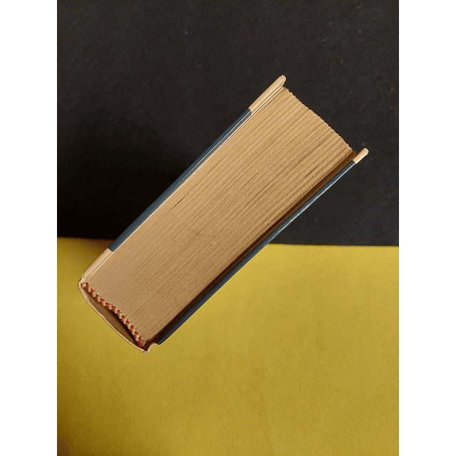 Paullina Simons - O cavaleiro de bronze