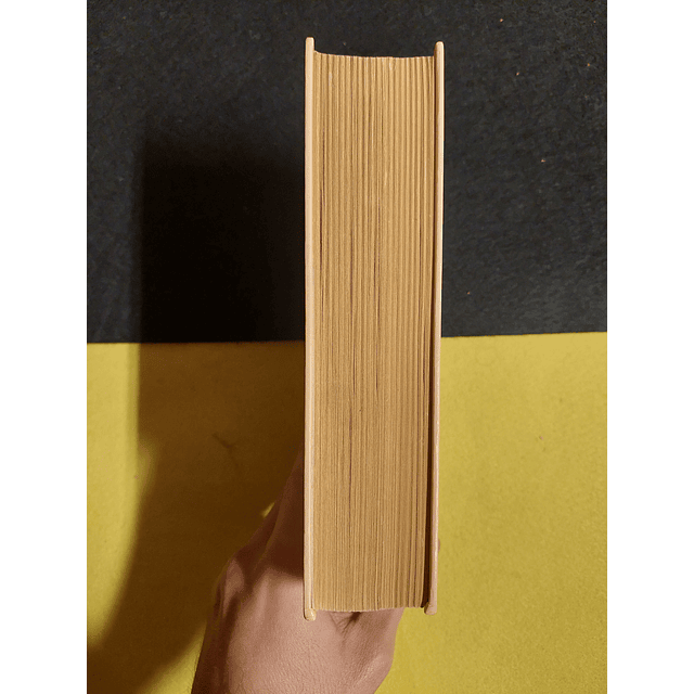 Paullina Simons - O cavaleiro de bronze