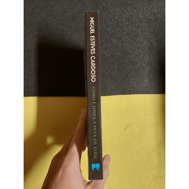 Miguel Esteves Cardoso - Como é linda a puta da vida