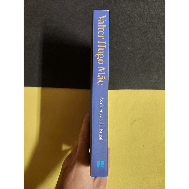 Valter Hugo Mãe - As doenças do Brasil