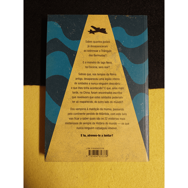 Geórgia Costa - Os 22 mistérios da história  