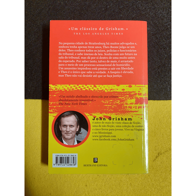 John Grisham - O miúdo advogado: Uma aventura de Theo Boone