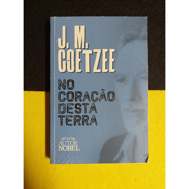J. M. Coetzee - No coração desta terra 