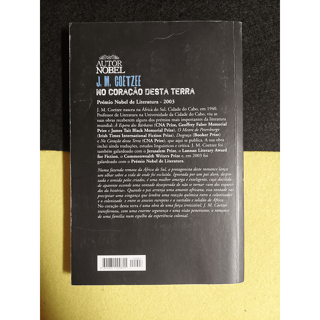 J. M. Coetzee - No coração desta terra 