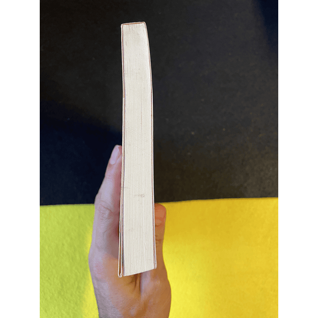 Max Gallo - Os cristãos: O manto do soldado. Volume I