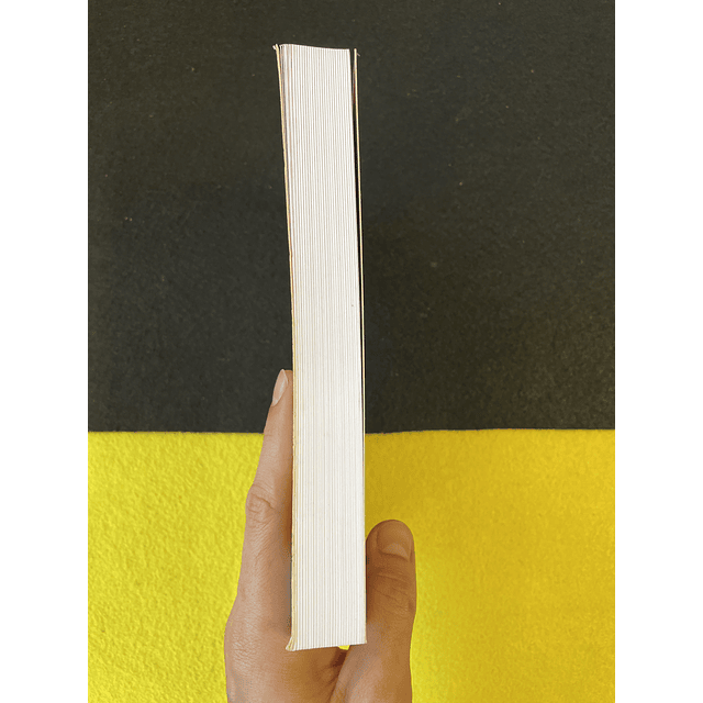 Isabel Ricardo - Nuno Álvares Pereira: A demanda do Mestre de Avis e a vida do Santo Condestável