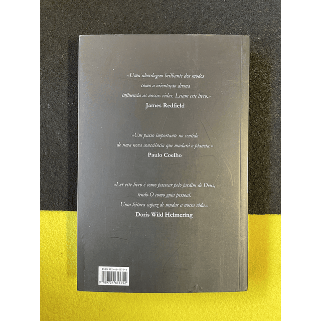 Albert Clayton Gaulden - Sinais de deus: Como compreender a linguagem divina