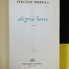 Vergílio Ferreira - Alegria breve
