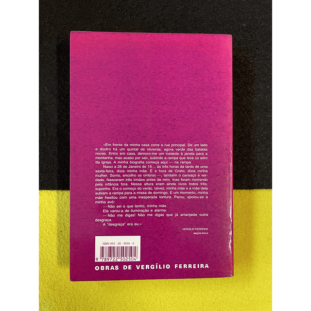 Vergílio Ferreira - Alegria breve