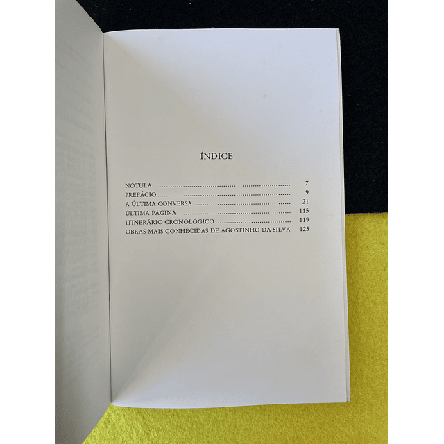 Agostinho da Silva - A última conversa: Entrevista de Luís Machado