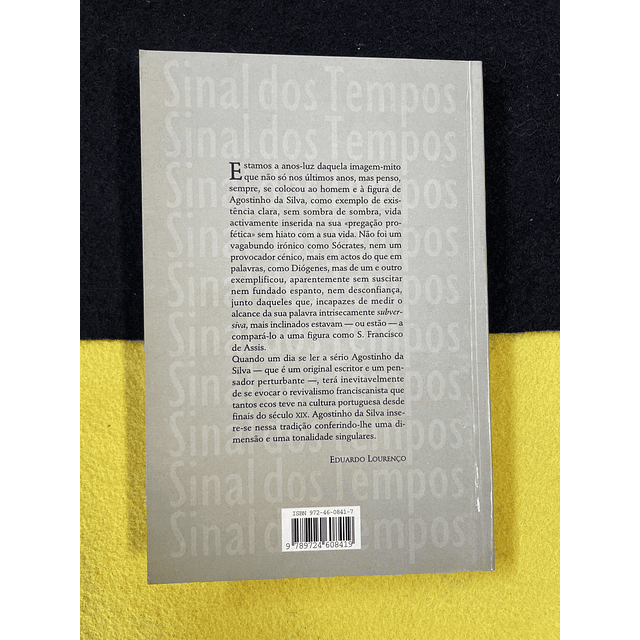 Agostinho da Silva - A última conversa: Entrevista de Luís Machado
