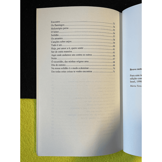 Rainer Maria Rilke - Poemas e canções