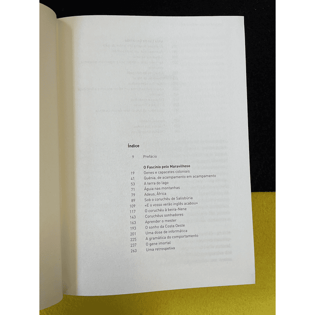 Richard Dawkins - Uma ténue luz na escuridão