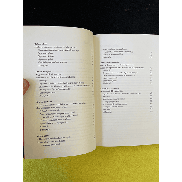 António Lima, Catarina Frois - A política vivida 