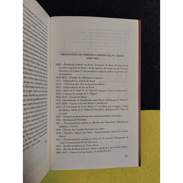 Maria Filomena Mónica - Isabel, Condessa de Rio Maior: Correspondência para seus filhos 1852/1865